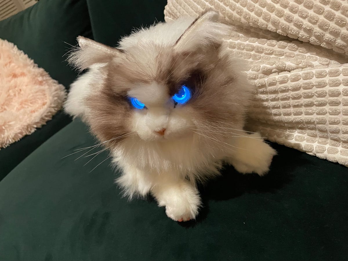 https://www.zdnet.com/article/i-just-spent-a-week-with-a-robot-cat-and-my-life-will-never-be-the-same/