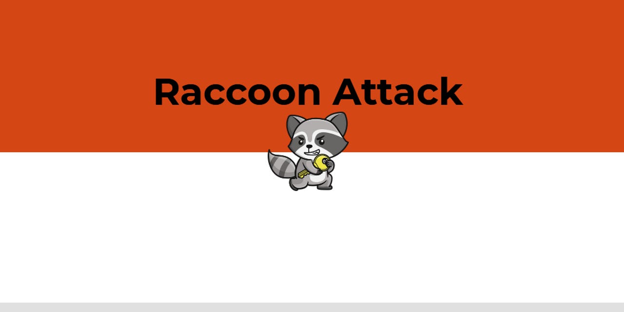 Racoon Attack
