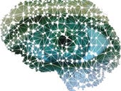 Rebooting AI: Deep learning, meet knowledge graphs