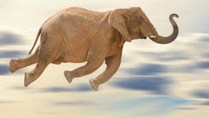 flying-elephant.jpg