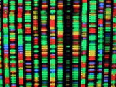 Forget silicon - SQL on DNA is the next frontier for databases