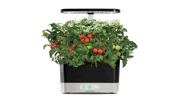 aerogarden-harvest-indoor-garden-easy-setup-6-gourmet-herb-pods-included-black-901100-120.png
