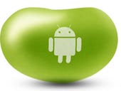 No Flash for Android 4.1, Jelly Bean, users