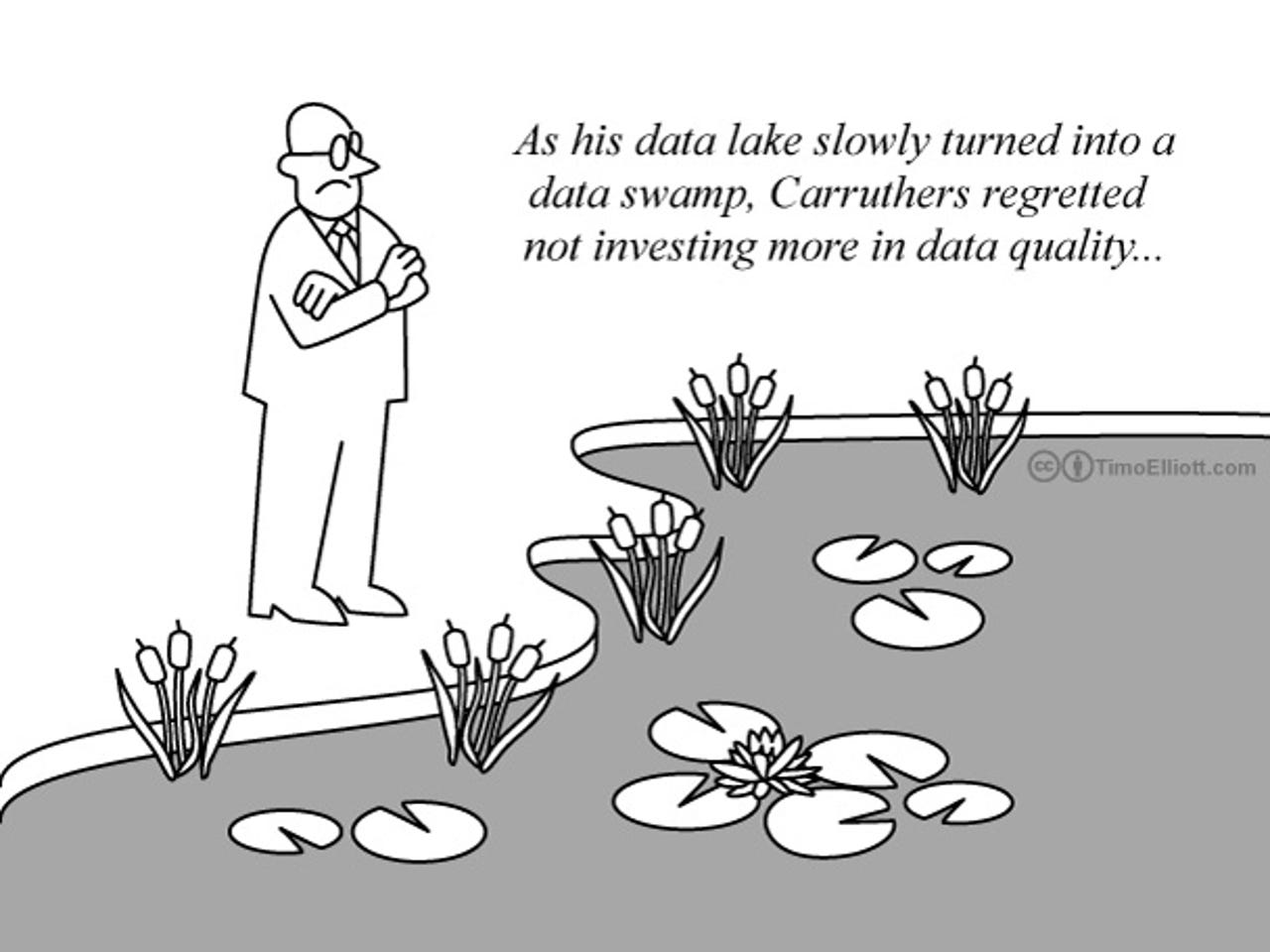 From Data Lake to Data Swamp
