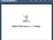Adult Tumblr blogs now removed from every form of search possible