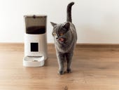 The best automatic pet feeders you can buy
