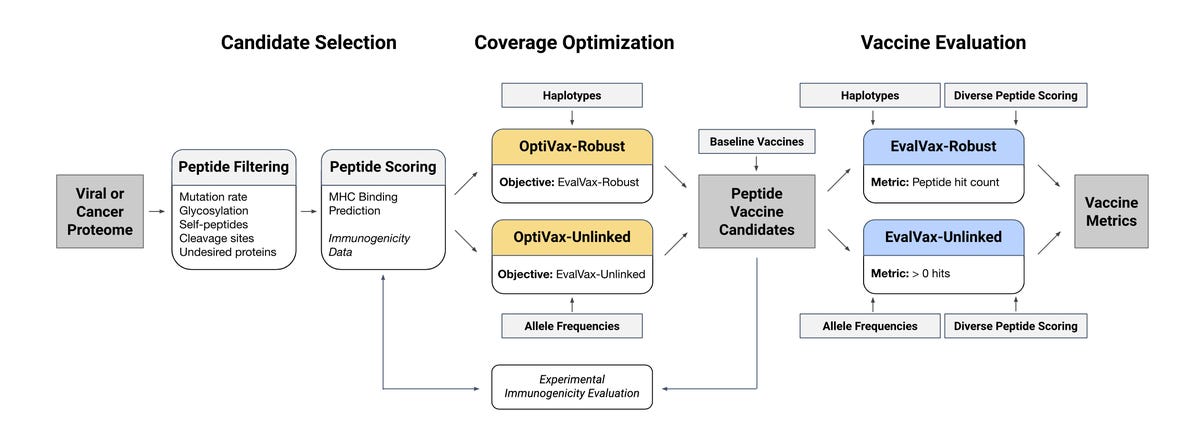 mit-optivax-diagram-horizontal-july-2020.png