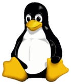 The most popular end-user Linux distributions are...