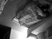 Shodan: The IoT search engine for watching sleeping kids and bedroom antics