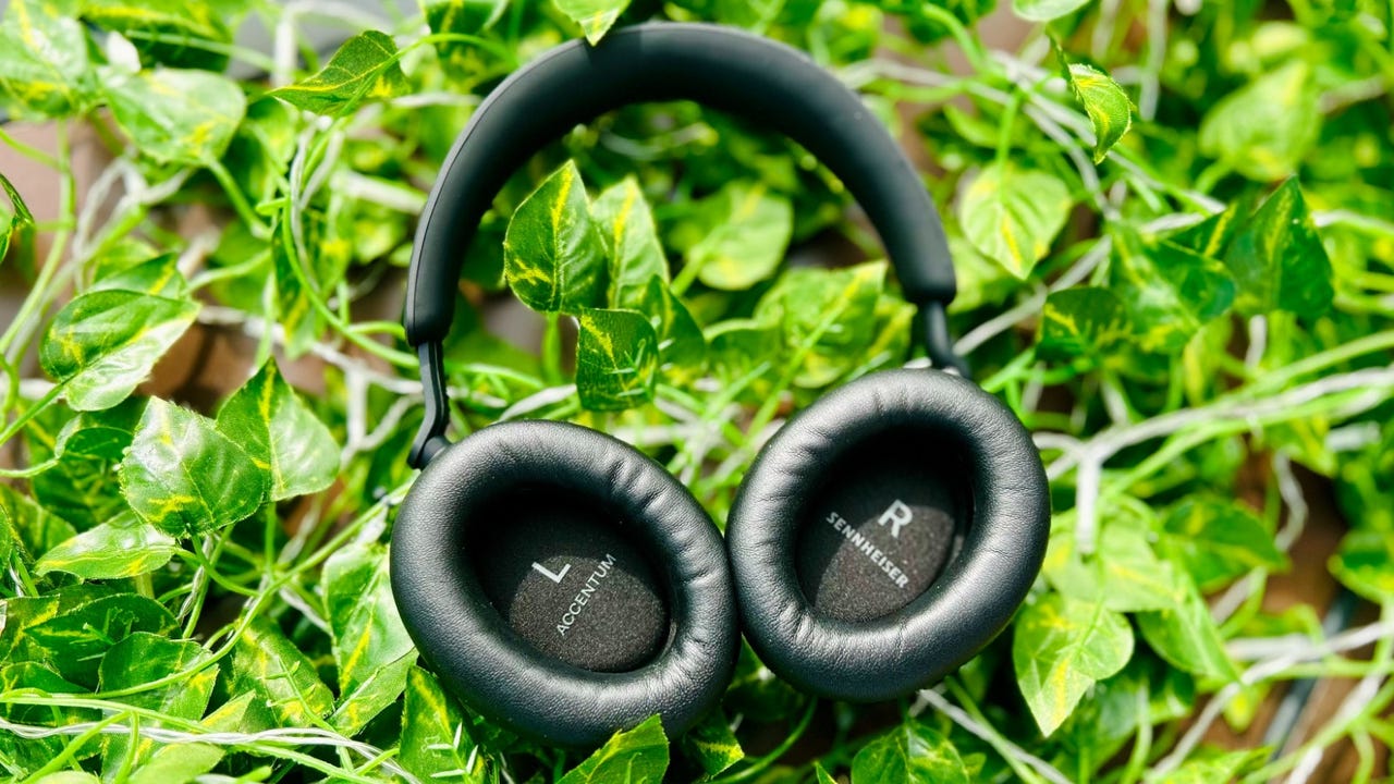 The Sennheiser Accentum headphones lying on green leaves