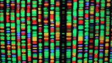 Best DNA Ancestry Testing Kits