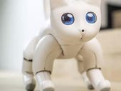 MarsCat robot is more project than pet