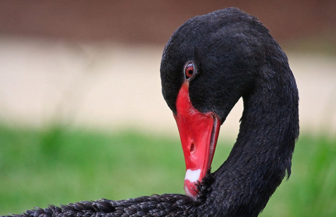 Black swan: One in six IT projects spirals out of control