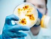 IBM to facilitate mapping of human bacterial genes