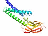 DeepMind AI breakthrough in protein folding will accelerate medical discoveries
