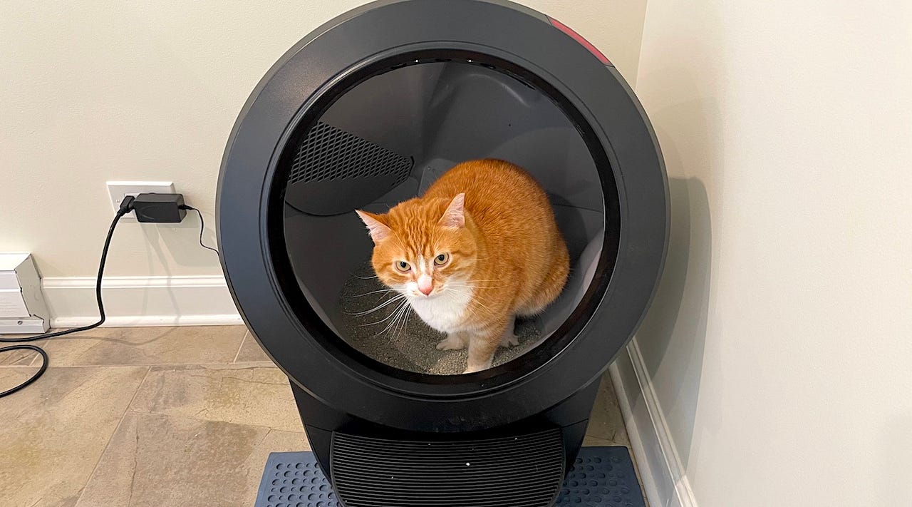 An orange cat in a black robot litter box