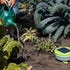 Tertill Garden Weeding Robot
