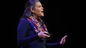 AI pioneer Daphne Koller sees generative AI leading to cancer breakthroughs
