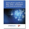 Executive's guide to Big Data strategies and best practices (free ebook)