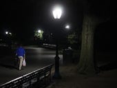New York's Central Park using LEDs to light walkways