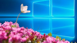 windows-10-spring-creators-update-blooms.jpg