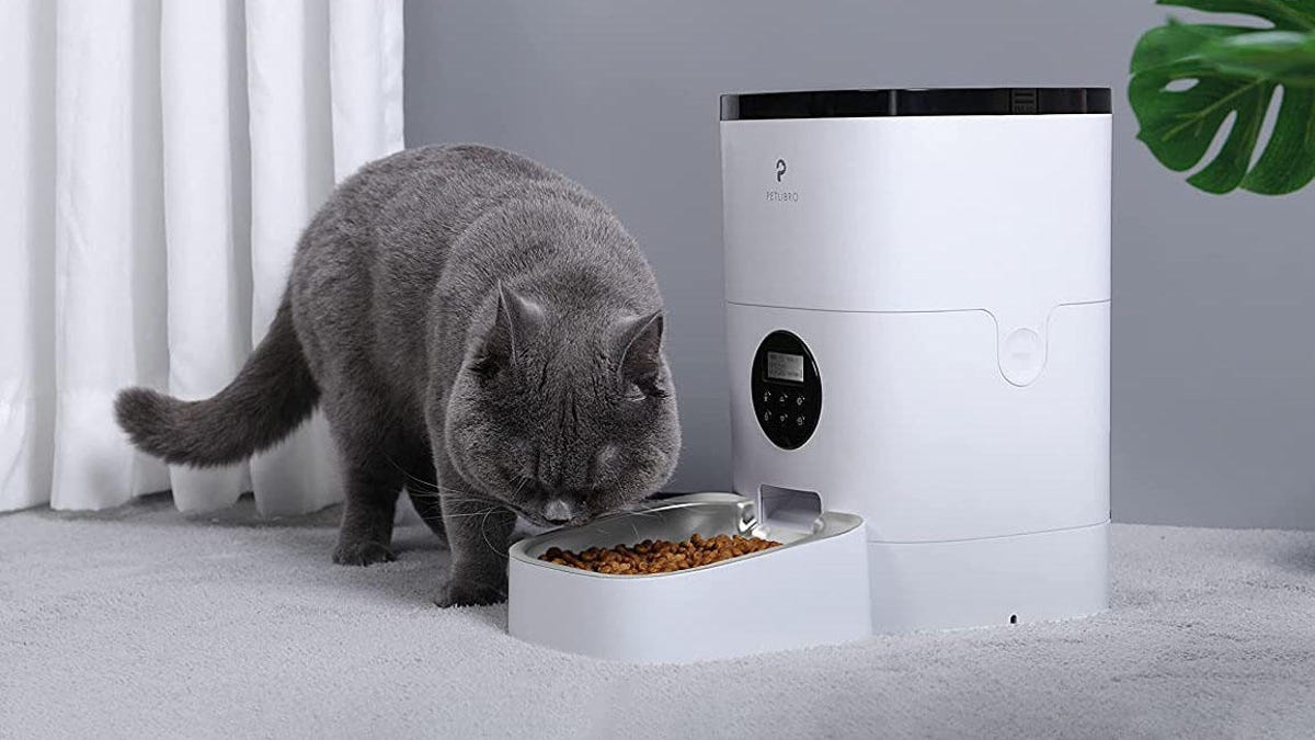 The 5 best automatic pet feeders for fur babies in 2022