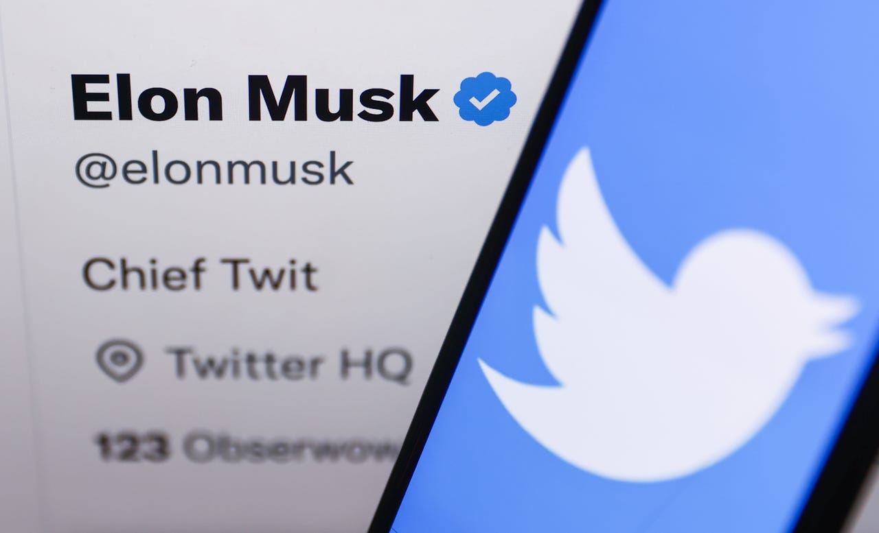 Elon Musk Twitter account with Twitter logo next to it