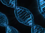 GEDmatch highlights security concerns of DNA comparison websites