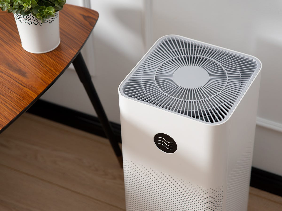 How to choose an air purifier: 5 things to look for and 1 to avoid | ZDNET