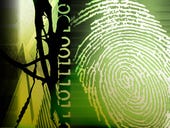 Biometrics' answer to identity verification