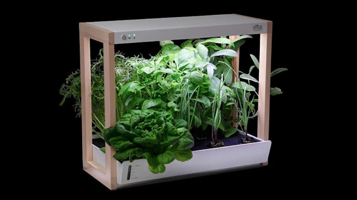 Rise Gardens hydroponics growing system