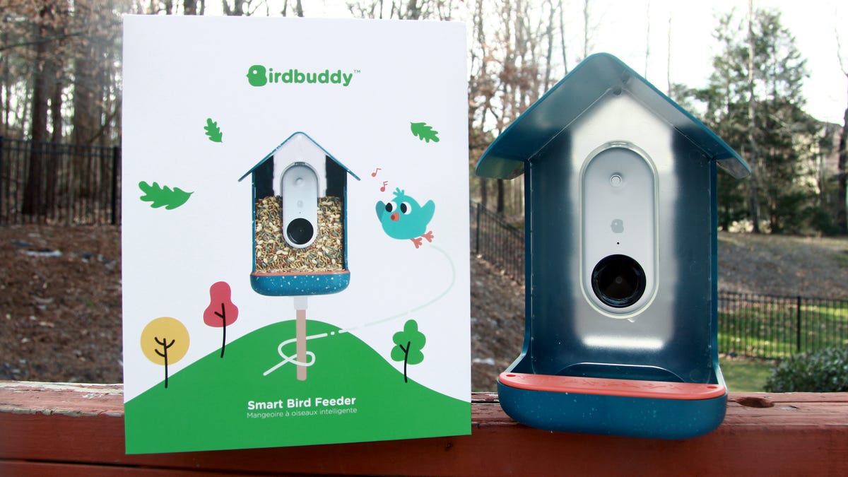Bird Buddy review: The backyard birdcam you didn’t know you needed
