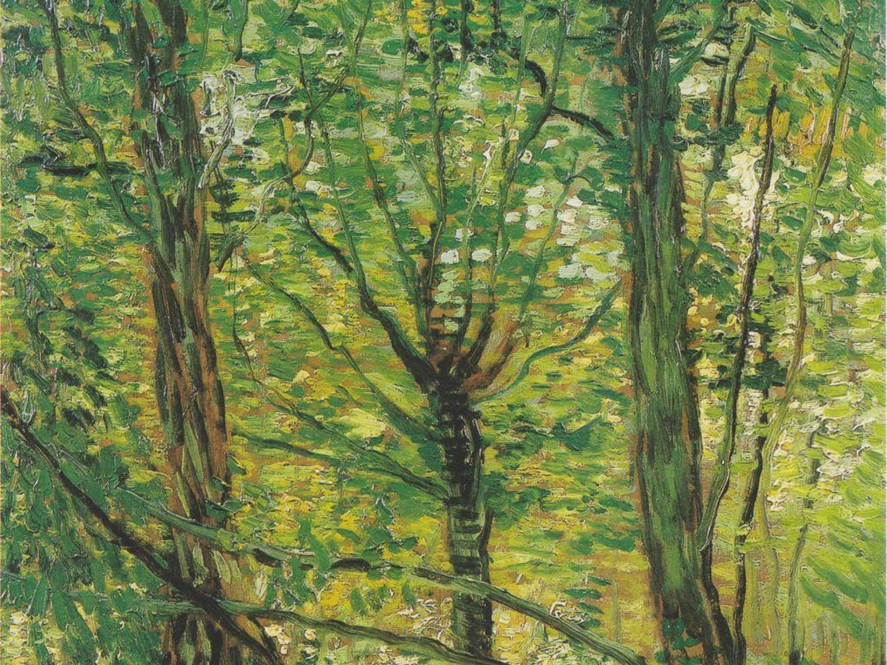part-of-trees-and-undergrowth-by-van-gogh.jpg