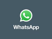 WhatsApp launches Android app for business accounts