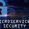 Best practices for securing microservices