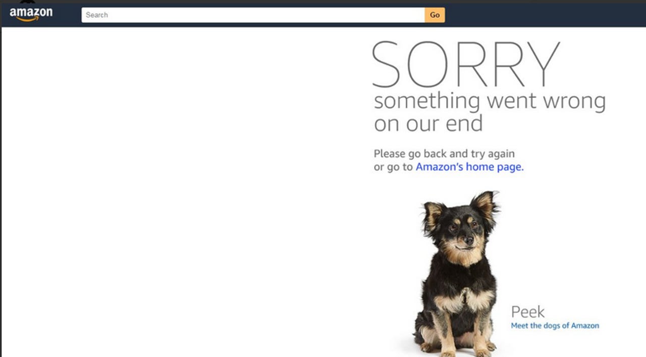 amazon-screen-prime-day-dog.png