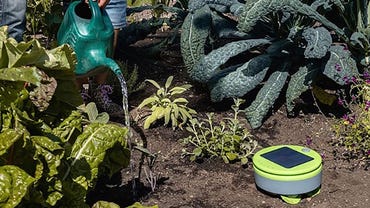 Tertill Garden Weeding Robot