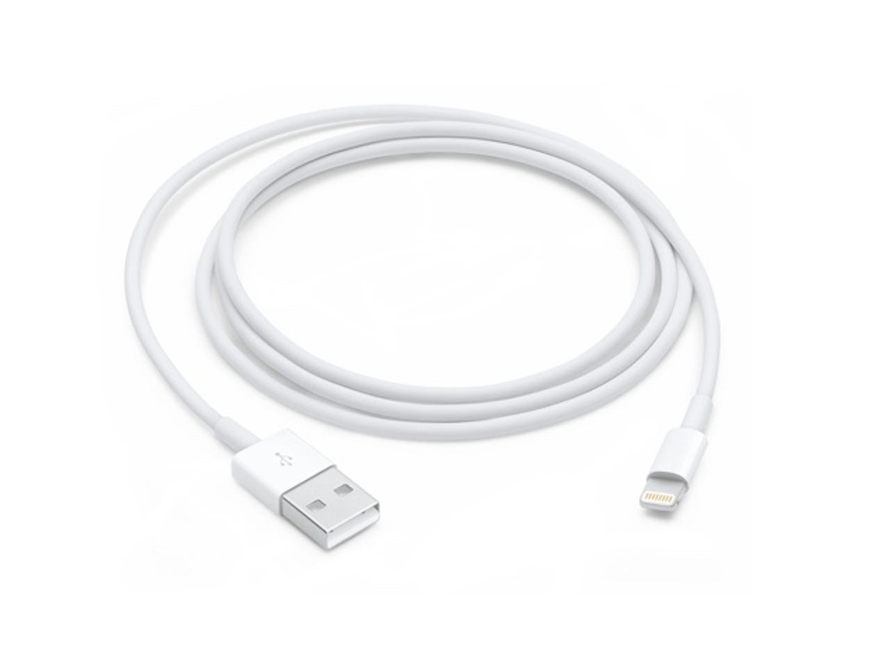 Apple Lightning cable