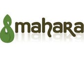 Catalyst to lead Mahara open source ePortfolio project