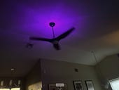 Are these $1600 smart ceiling fans worth the money?