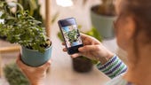 Sick indoor plants? Use this handy app to learn how to treat them
