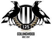 ​Collingwood Football Club kicking goals with data analytics