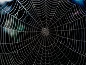 Wizard Spider hackers hire cold callers to scare ransomware victims into paying up