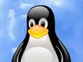 Low-level exploit sends Ubuntu, OpenSUSE kernel bug hunting