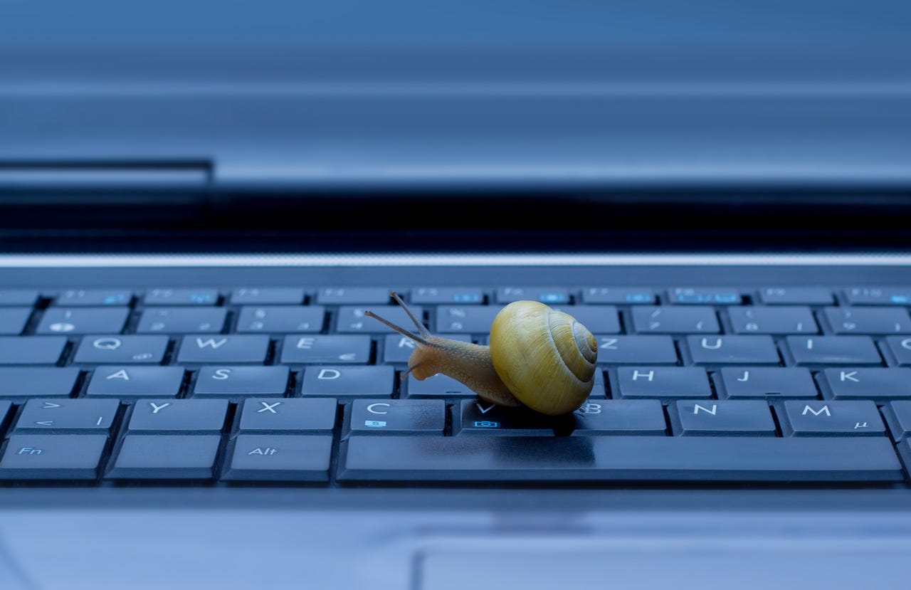 snail-gettyimages-178042221