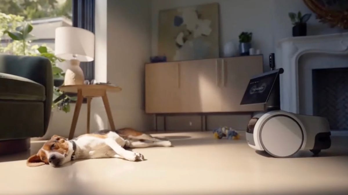 Amazon’s household robot Astro can now recognize your cats and dogs