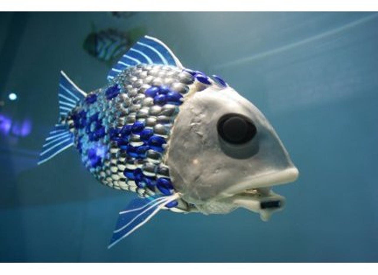 Robot fish and chips to fight water pollution