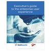 Executive's guide to the enterprise user experience (free ebook)